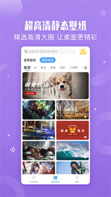 小鸟壁纸最新版截图