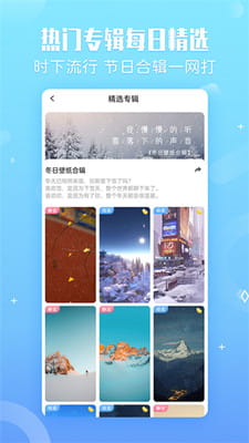小鸟壁纸最新版截图