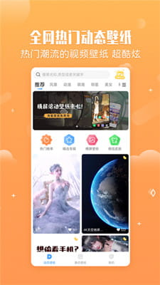 小鸟壁纸最新版截图