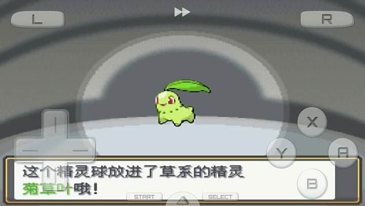 口袋妖怪心金魂银汉化版截图