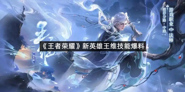 《王者荣耀》新英雄王维技能爆料