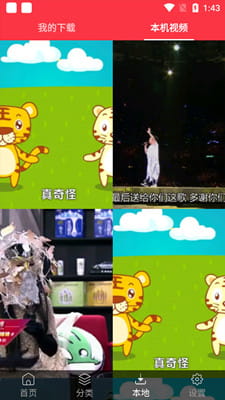 海豚动态壁纸最新版截图
