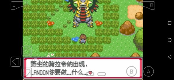 口袋妖怪海市蜃楼截图
