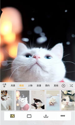 刘海壁纸手机版截图