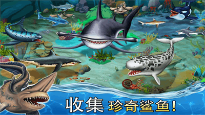 鲨鱼世界截图