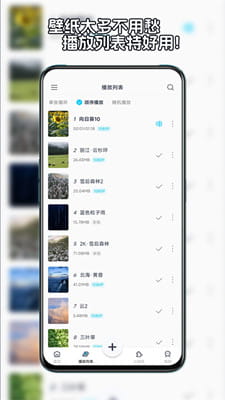 星咩视频壁纸最新版截图