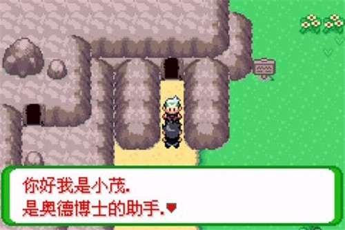 口袋妖怪空之花神截图