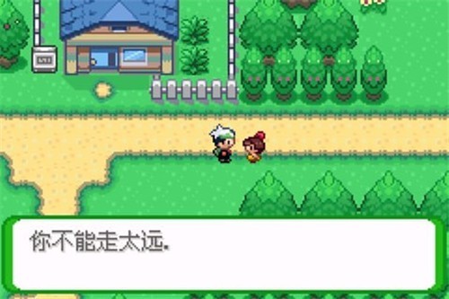 口袋妖怪空之花神截图