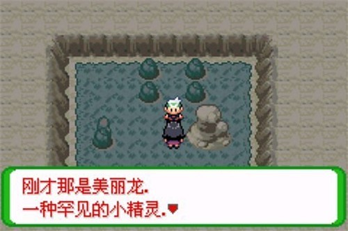 口袋妖怪空之花神补完汉化版截图