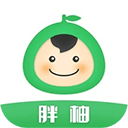 胖柚