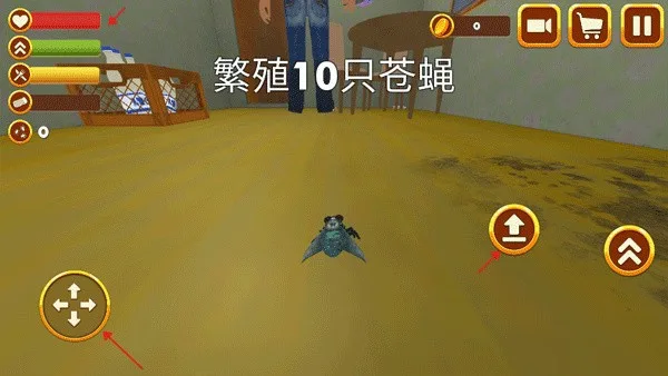 苍蝇模拟器-3