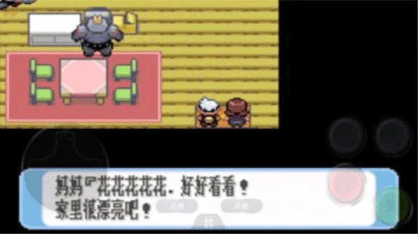 口袋妖怪红宝石中文版-3