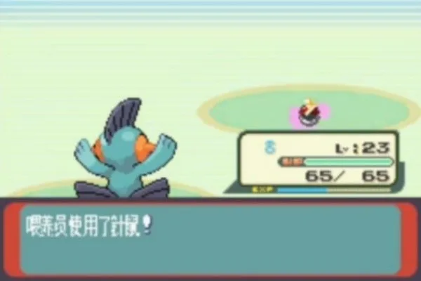 口袋妖怪红宝石截图
