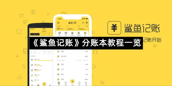 《鲨鱼记账》分账本教程一览