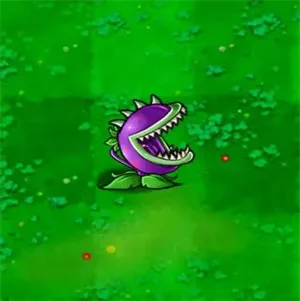 植物大战僵尸增强版-7