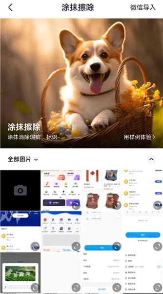美片-2