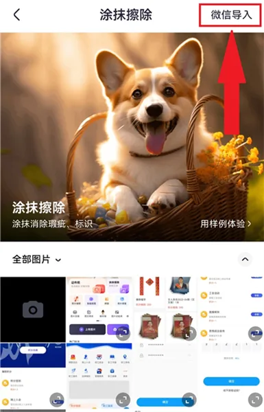 美片-3