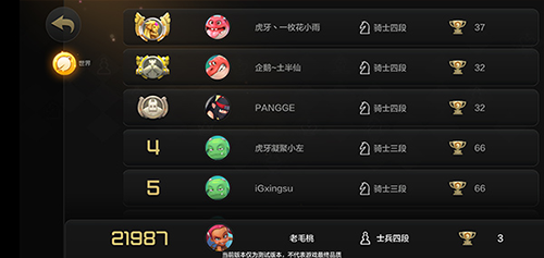 多多自走棋-6