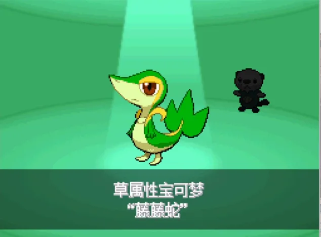 口袋妖怪黑白汉化版-7