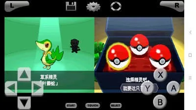 口袋妖怪黑白汉化版截图