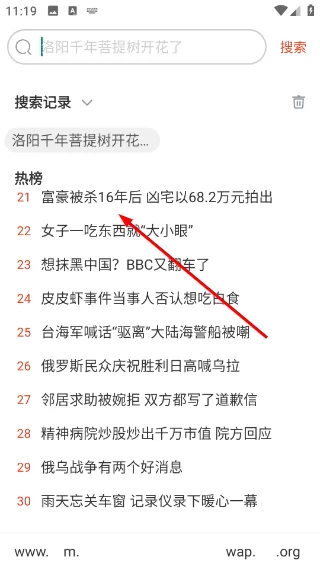 土豆浏览器-2