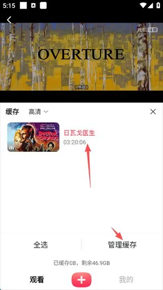 搜狐视频手机版-6