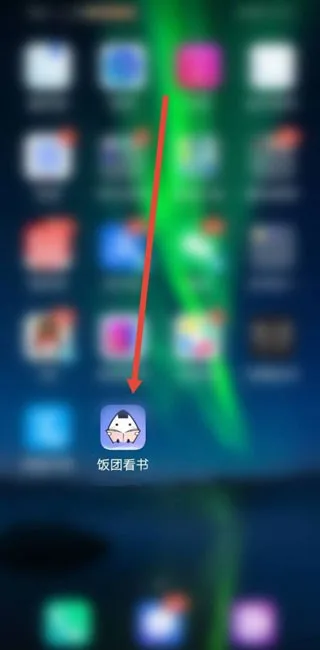 饭团探书-1