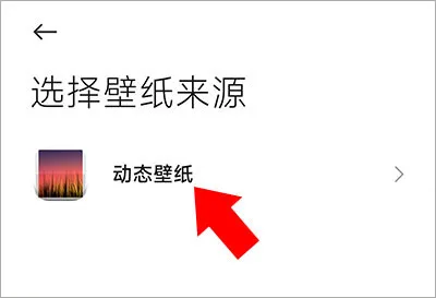 黑鲨鲨鲨酱-5