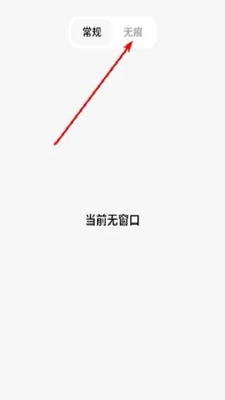 闪速浏览器-2