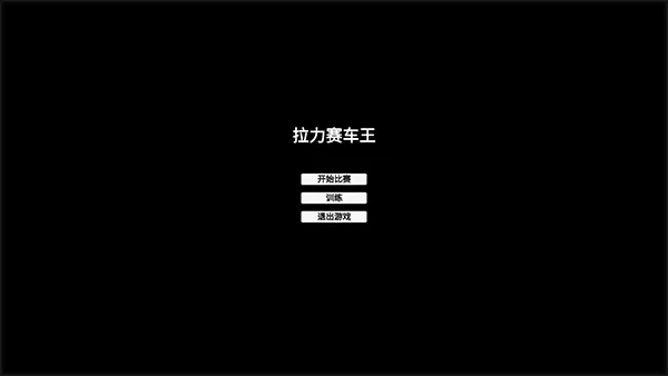 拉力赛车王-1