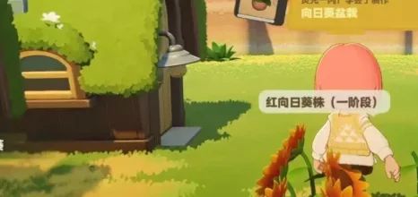 《星布谷地》星球开局选择攻略-5