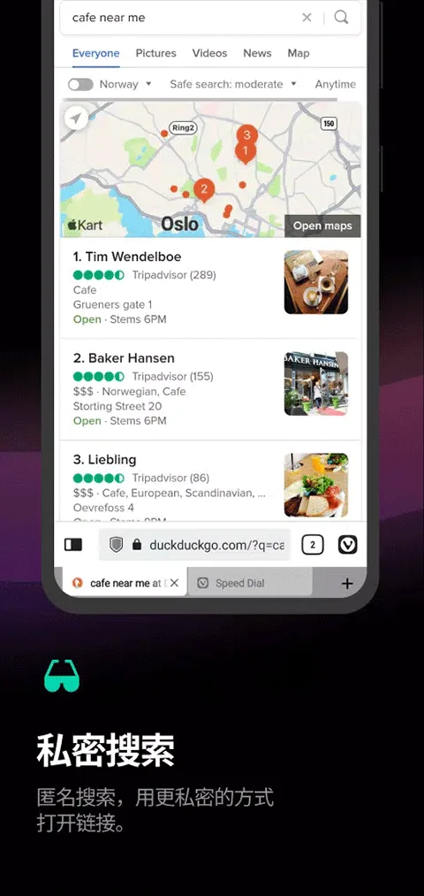 Vivaldi浏览器截图
