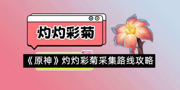 《原神》灼灼彩菊采集路线攻略