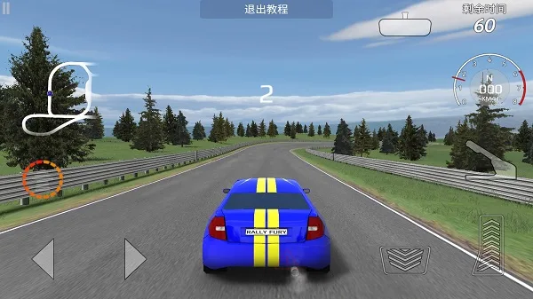 Rally Fury-3