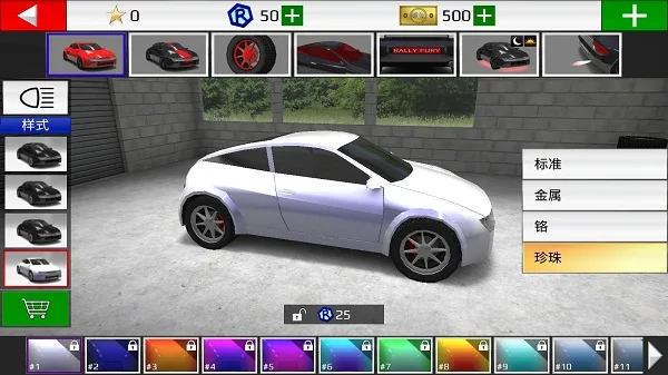 Rally Fury-5