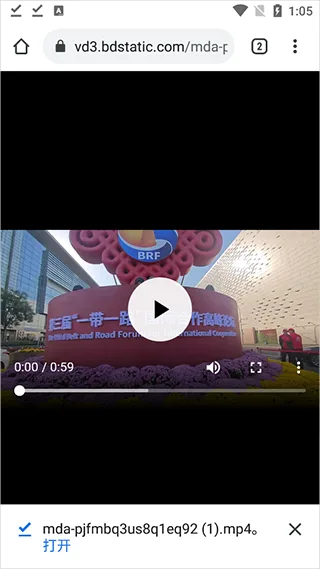 熊猫浏览器-5