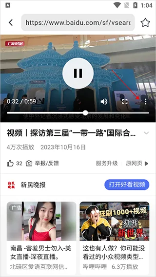 熊猫浏览器-2