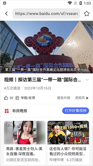熊猫浏览器-1
