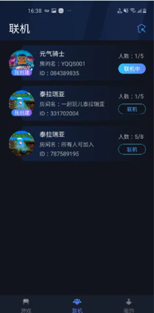 贝锐蒲公英联机-4