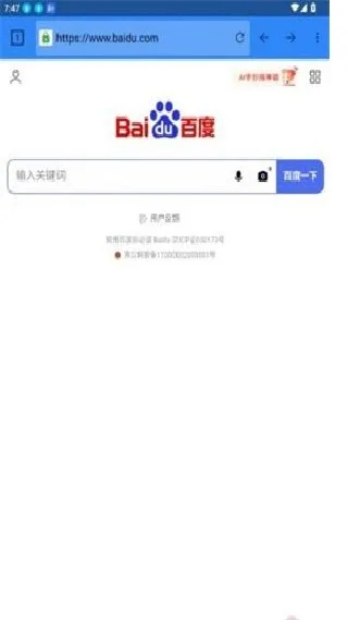 闪电浏览器-2