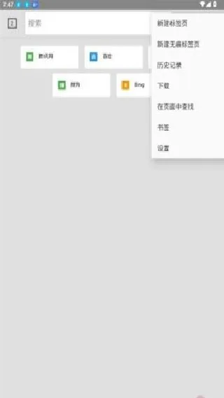闪电浏览器-3