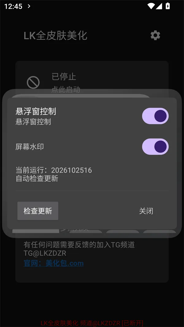 LK全皮肤美化2.2正式版截图